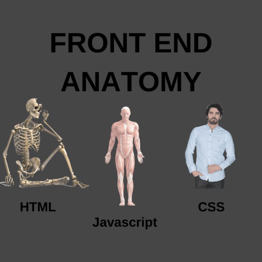 Front-End Anatomisi Nedir?